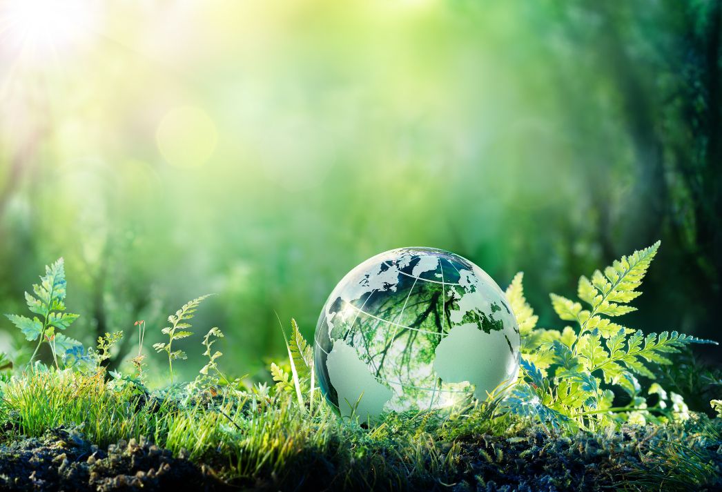 somfy we act for green